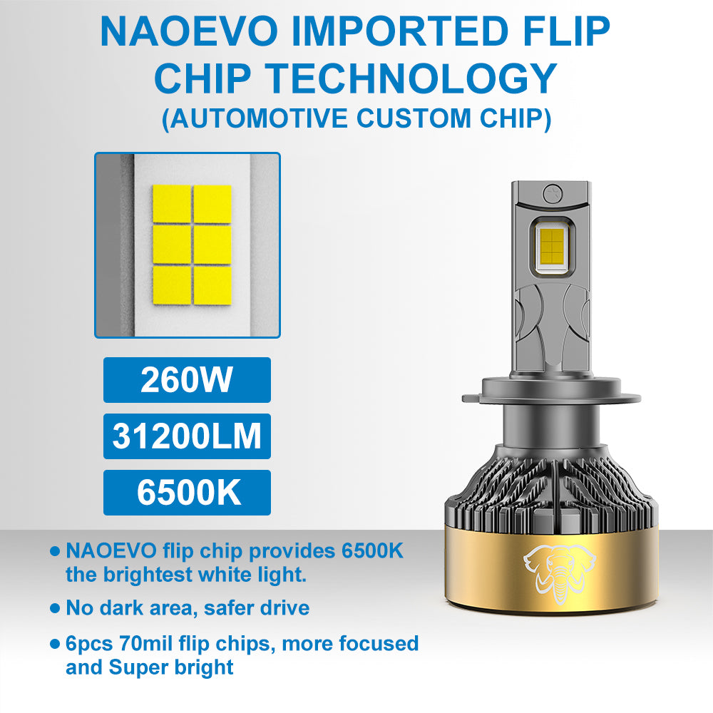 NAOEVO NH 260W / 2 Bulb